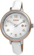 Fossil Dress AM4362